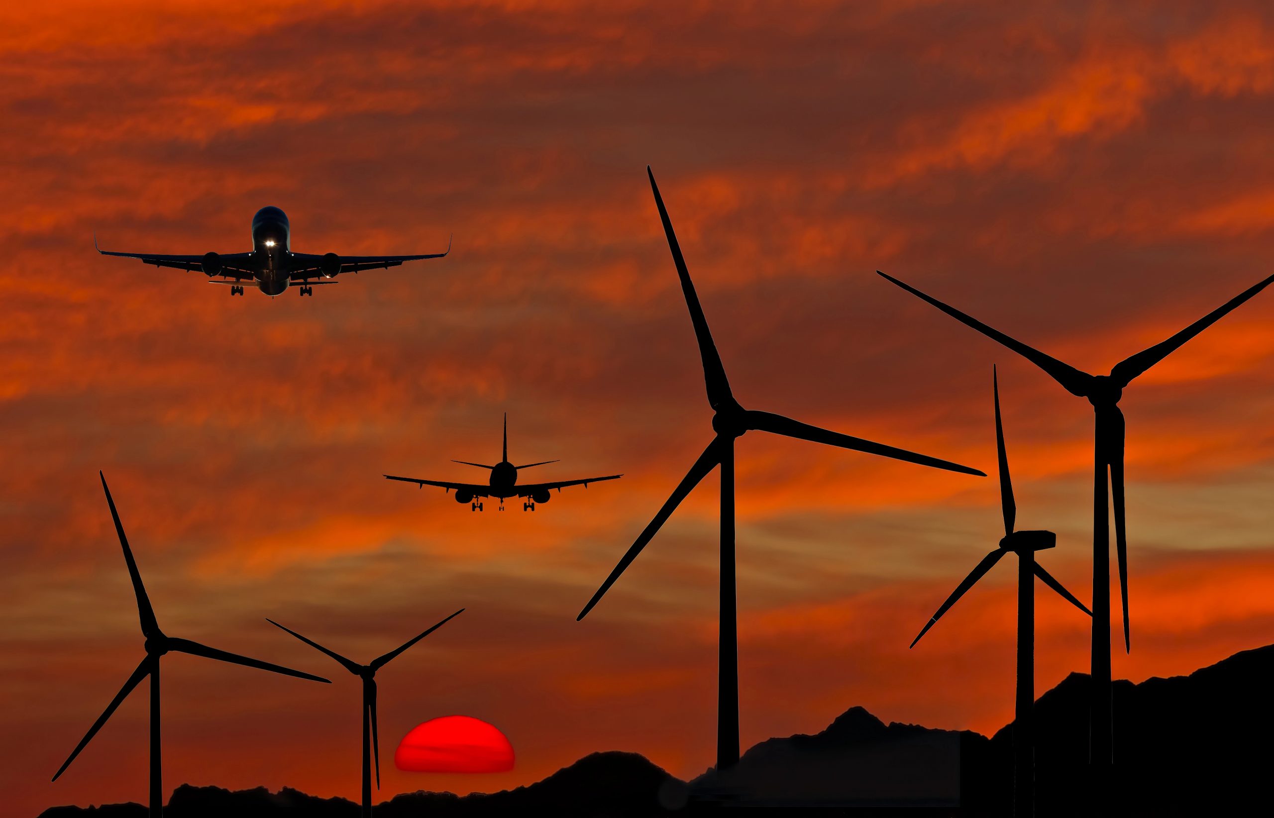 Mehr über den Artikel erfahren Die Löwen fliegen wieder…