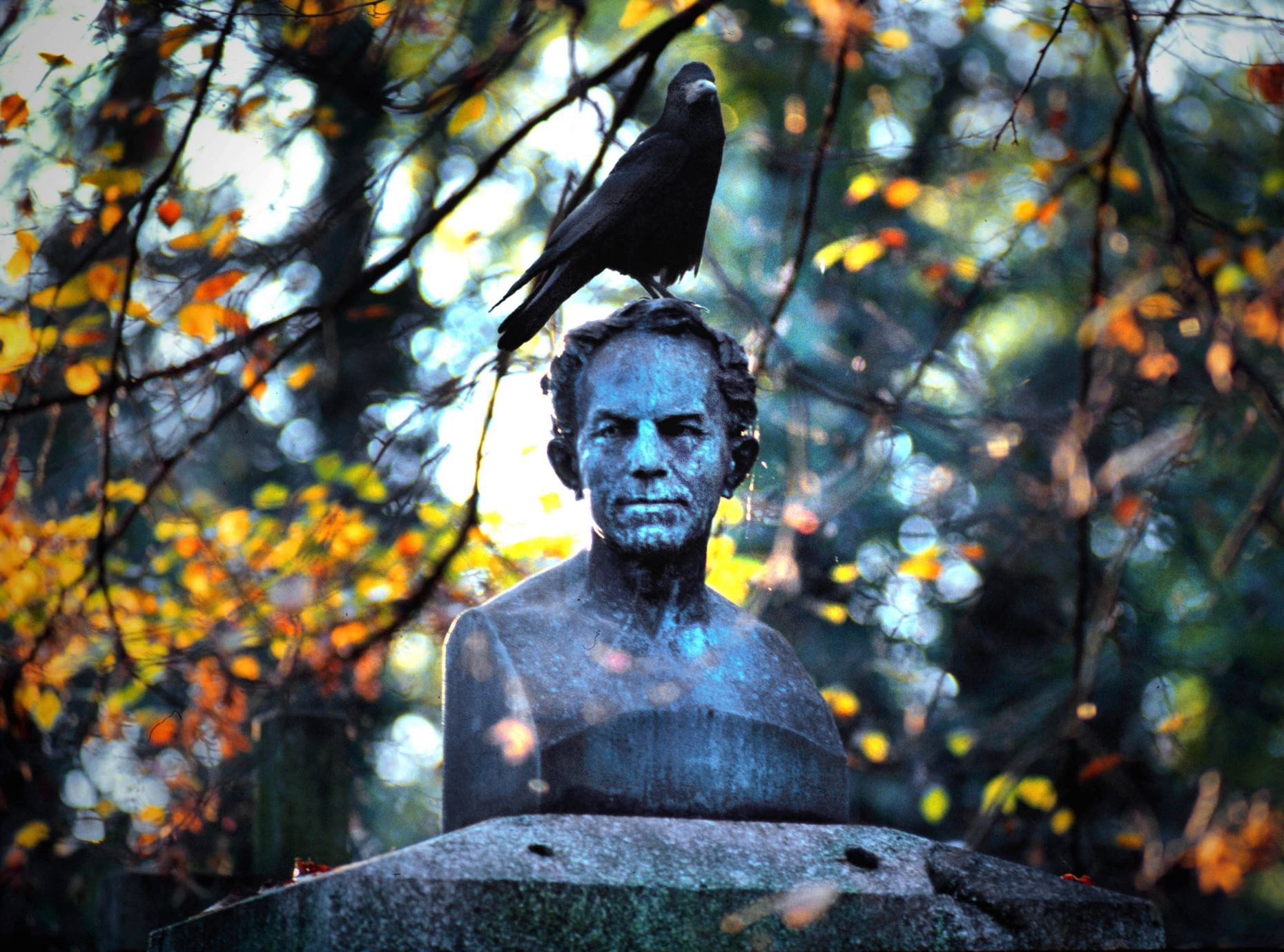 Du betrachtest gerade Spieltag in Giesing an Allerheiligen – TSV 1860 München bittet um Rücksicht