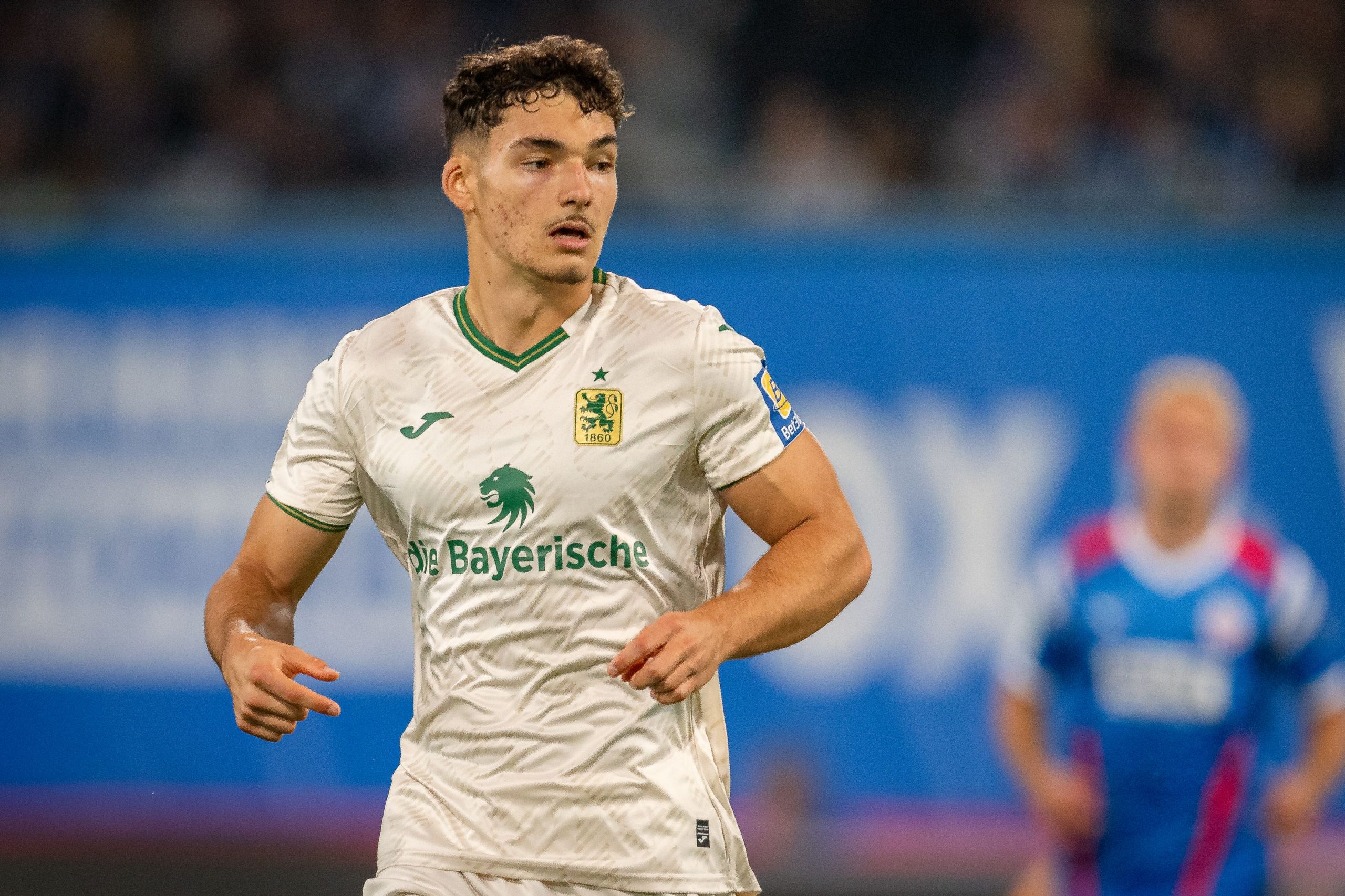 Du betrachtest gerade Löwen überwintern auf Platz 8