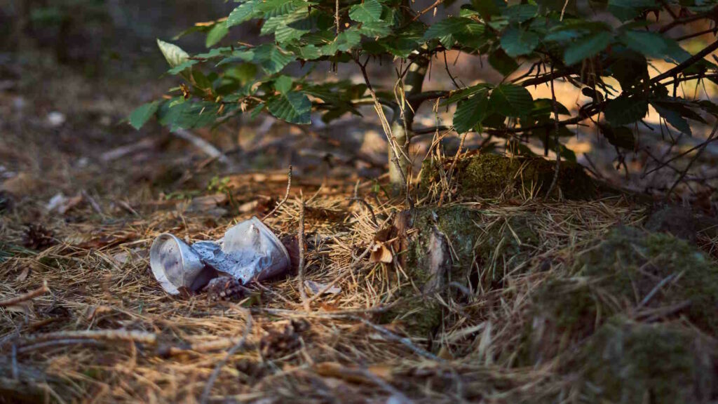 Plogging: Neuer Lauftrend der Joggen und Müllsammeln verbindet 3 Das Foto zeigt eine Getränkedose die achtlos im Wald weggeworfen wurde. Sie liegt unter einem Laubbaum und ist zusammengedrückt.