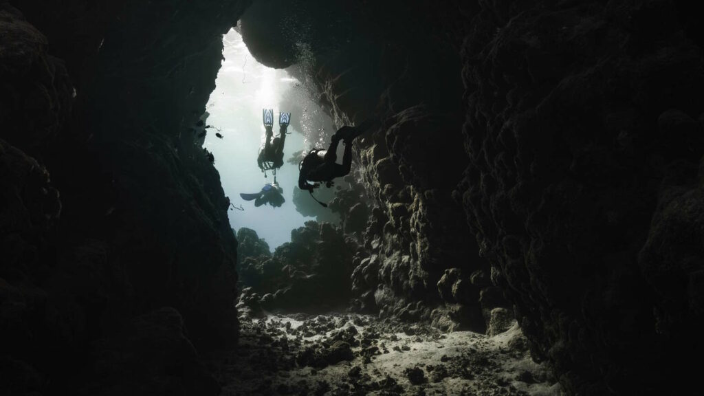 Höhlentauchen entdecken: Guide für Ausbildung, Ausrüstung, Sicherheit und faszinierende Unterwasserwelten 5 Im Bild sieht man eine Gruppe von Tauchern beim Cave Diving, die gerade eine Höhle verlassen
