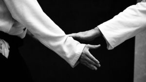 Aikido 1 aikido sw edited