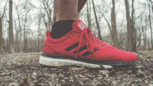 Laufschuhe kaufen - praktische Kaufberatung und Tipps 1 joggingschuh wald edited