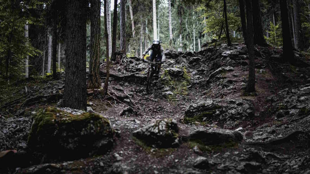 Downhill-Mountainbiking: Technik, Bikes & Tipps für Einsteiger 2 Im Bild sieht man einen Downhill-MTB-Fahrer der einen bewurzelten Trail in einem Wald abfährt.