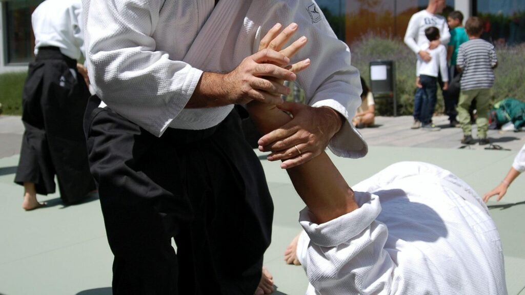 Aikido 3 aikido demo edited