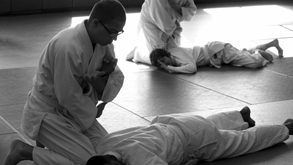 Aikido 2 Wurf- und Hebeltechniken.